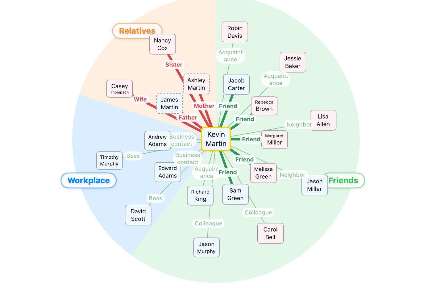 The relationship map on iPad. The circle is colour-coded into Relatives, Friends and Workplace, with named connections radiating from the person in the centre